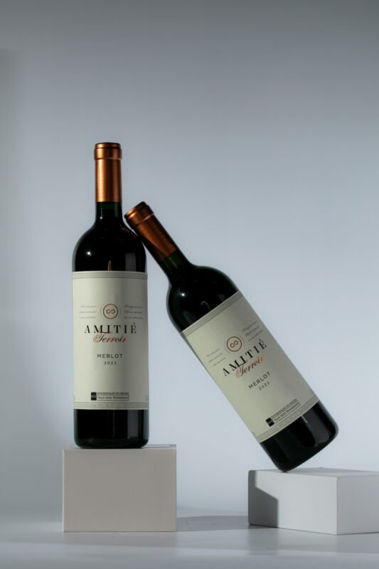 Contrarrótulo do vinho tinto brasileiro Amitié Terroir Merlot DOVV