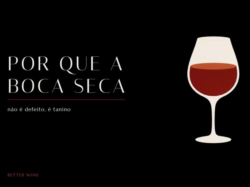 Ilustração chapada de uma taça de vinho tinto sobre fundo preto, com o título Por que a boca seca.