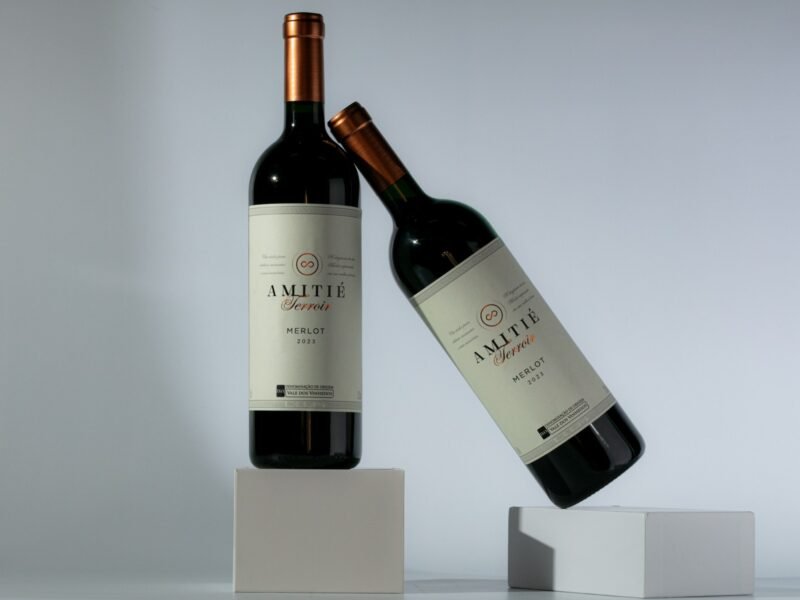 Amitié Terroir Merlot DOVV 2023, Merlot brasileiro com Denominação de Origem Vale dos Vinhedos