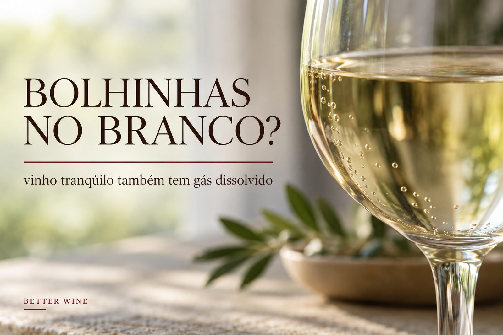 Detalhe de vinho branco com pequenas bolhas aderidas ao vidro, em luz de manhã, com o título “Bolhinhas no branco?”.